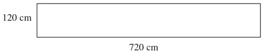 Path 720 cm by 120 cm