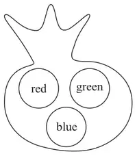 Bag containing a red, a green and a blue counter
