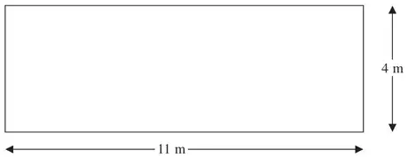 Rectangle 11 m by 4 m