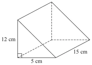 Triangular prism: right-angled triangular cross-section with sides 12 cm and 5 cm, length 15 cm