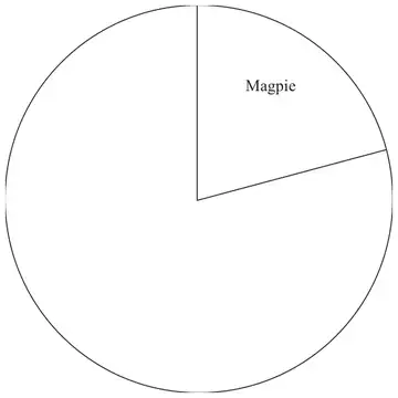 Circle with the Magpie sector drawn