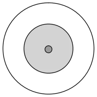 Target of concentric circles: a small bull’s eye, a shaded inner ring and an outer ring