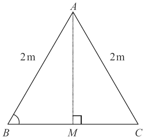 Equilateral triangle ABC with sides AB and AC of 2 m, and the perpendicular AM from A to the midpoint M of BC
