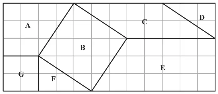 Seven shapes A to G drawn on a centimetre square grid