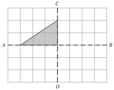 Grid with dashed lines AB and CD crossing at right angles and a shaded right-angled triangle showing part of the quadrilateral