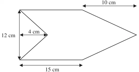 Shape with one line of symmetry: a 12 cm vertical left edge with a triangular notch of depth 4 cm, horizontal top and bottom edges of 15 cm, and a point on the right; the horizontal distance from the end of the top edge to the point is 10 cm