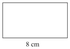 Rectangle with length 8 cm