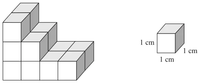 Solid prism made from centimetre cubes, shown next to a single 1 cm cube