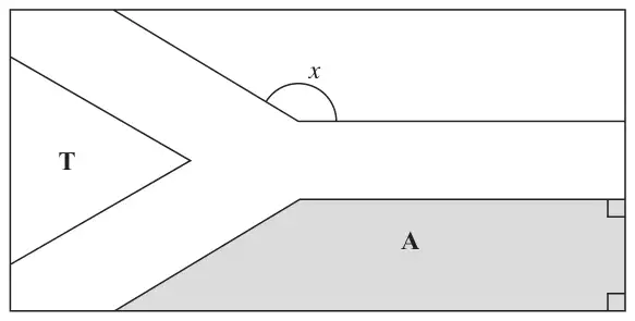 Rectangular flag with a triangle T on the left, a Y-shaped band with an angle x marked, and a shaded quadrilateral A at the bottom right with two right angles