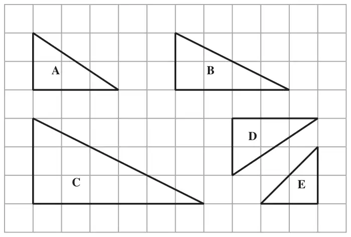 Five right-angled triangles A, B, C, D and E on a square grid