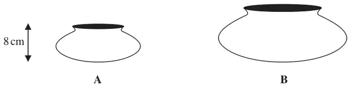Two similar pots: pot A of height 8 cm and a larger pot B