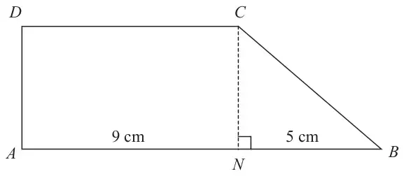 Shape ABCD: rectangle ANCD with AN = 9 cm and right-angled triangle NBC with NB = 5 cm