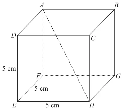 Cube ABCDEFGH with sides 5 cm and diagonal AH drawn dashed