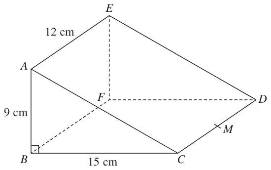 Triangular prism ABCDEF with AB = 9 cm vertical, BC = 15 cm, AE = 12 cm and angle ABC = 90°; M is the midpoint of CD; line AM drawn