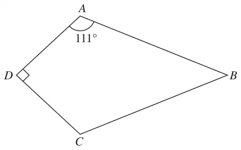 Kite ABCD with angle DAB = 111° and right angle at D