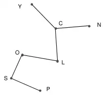 Tree: Y–C, C–N, C–L, L–O, O–S, S–P