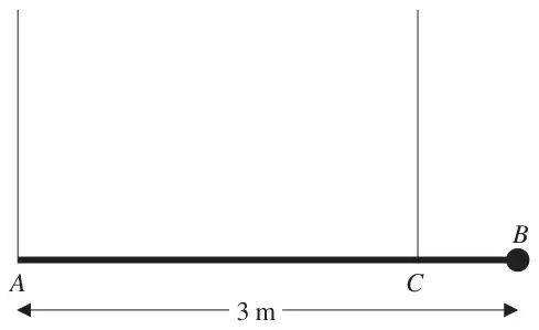 Figure 1: horizontal plank AB of length 3 m held by vertical ropes at A and C, load at B