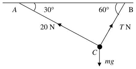 Force diagram: 20 N along CA, T N along CB, mg down at C