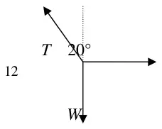 Force diagram: tension T at 20 degrees to the vertical, horizontal force 12, weight W downwards