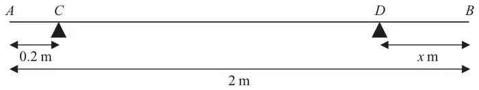 Figure 5: rod AB of length 2 m on supports at C and D, AC = 0.2 m, DB = x m