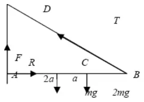 Diagram: rod AB with F and R at A, weights mg and 2mg at 2a and 3a from A, tension T along BD