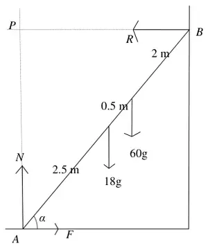 Force diagram: N up and F at A, R horizontal at B, weights 18g and 60g on the ladder, distances 2.5 m, 0.5 m, 2 m, point P level with B above A