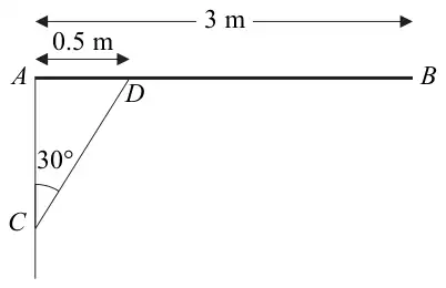 Figure 2: horizontal pole AB of length 3 m hinged at A to a wall, rod CD from C on the wall below A to D on the pole, AD = 0.5 m, angle ACD = 30 degrees