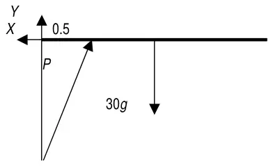 Diagram: pole with X and Y at A, thrust P along the rod at D, 0.5 from A, and weight 30g