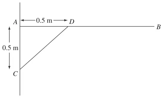 Figure 1: horizontal rod AB hinged to a wall at A, strut CD from C on the wall 0.5 m below A to D on the rod, AD = 0.5 m
