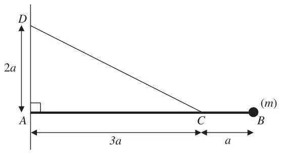Figure 2: horizontal rod AB hinged to a wall at A with particle (m) at B; string from C on the rod to D on the wall, AD = 2a, AC = 3a, CB = a