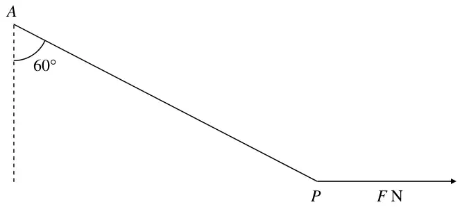 Figure 1: string AP at 60 degrees to the downward vertical, horizontal force F N at P