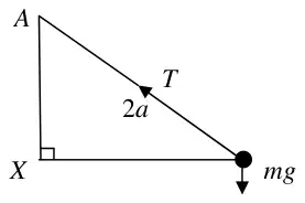 Diagram: string of length 2a from A to P, tension T, weight mg, X vertically below A level with P