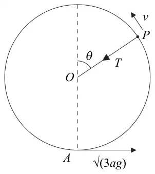 Figure 2: vertical circle centre O, P projected from A at the bottom with speed root 3ag, OP at angle theta to the upward vertical, tension T, speed v