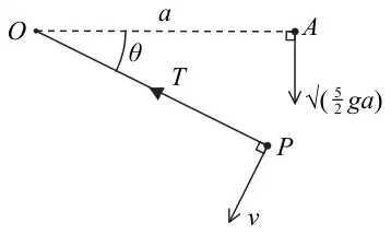 Figure 2: string OP of length a turned through angle theta below OA, tension T, P moving with speed v; P projected down from A with speed root(5ga/2)