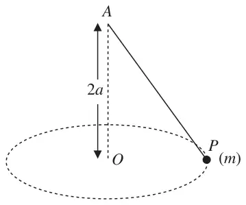 Figure 2: particle P of mass m on a string from A moving in a horizontal circle with centre O, OA = 2a
