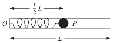 Figure 1: spring from O at the closed end of a tube of length L, with P inside at distance one half L from O