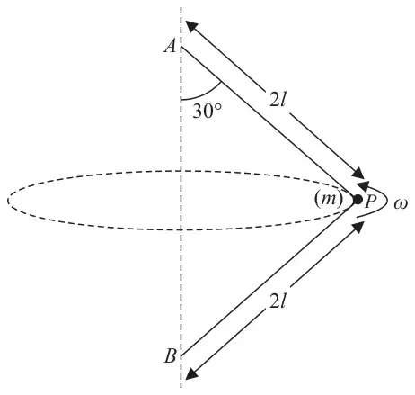 Figure 1: ball P of mass m attached by strings 2l to A above and B below, AP at 30 degrees to AB, rotating with angular speed omega