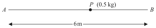 Figure 3: particle P of mass 0.5 kg between springs attached to A and B, which are 6 m apart